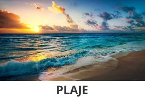 Plaje Mamaia